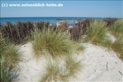 DSC_0121schoenberger-strand