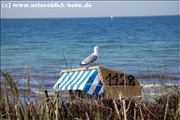 DSC_0190schoenberger-strand