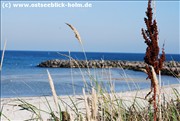 buhne_schoenberger_strand