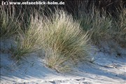 duene_schoenberger_strand